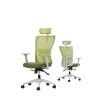 Office Chair Set (2 Pieces) Lumbar 126 - Green Green