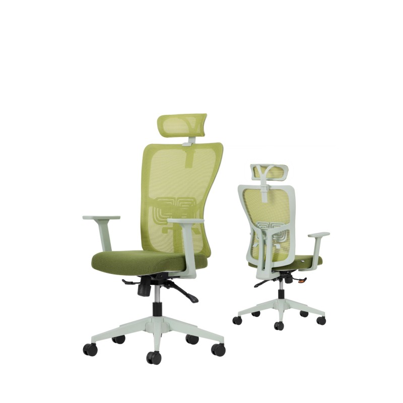 Office Chair Set (2 Pieces) Lumbar 126 - Green Green