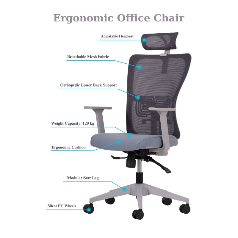 Office Chair Set (2 Pieces) Lumbar 126 - Grey Grey