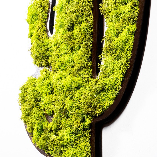 Decorative Wall Accessory Cactus Green
White Decorative Wall Accessory Cactus Green
White