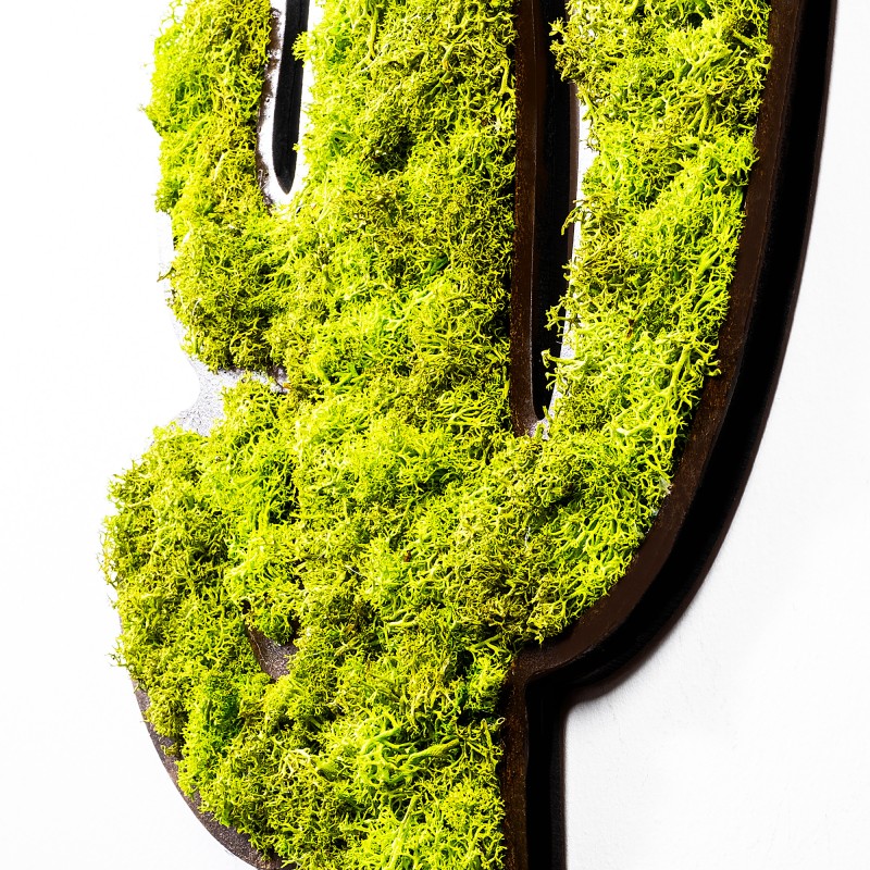 Decorative Wall Accessory Cactus Green
White