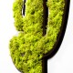 Decorative Wall Accessory Cactus Green
White Decorative Wall Accessory Cactus Green
White