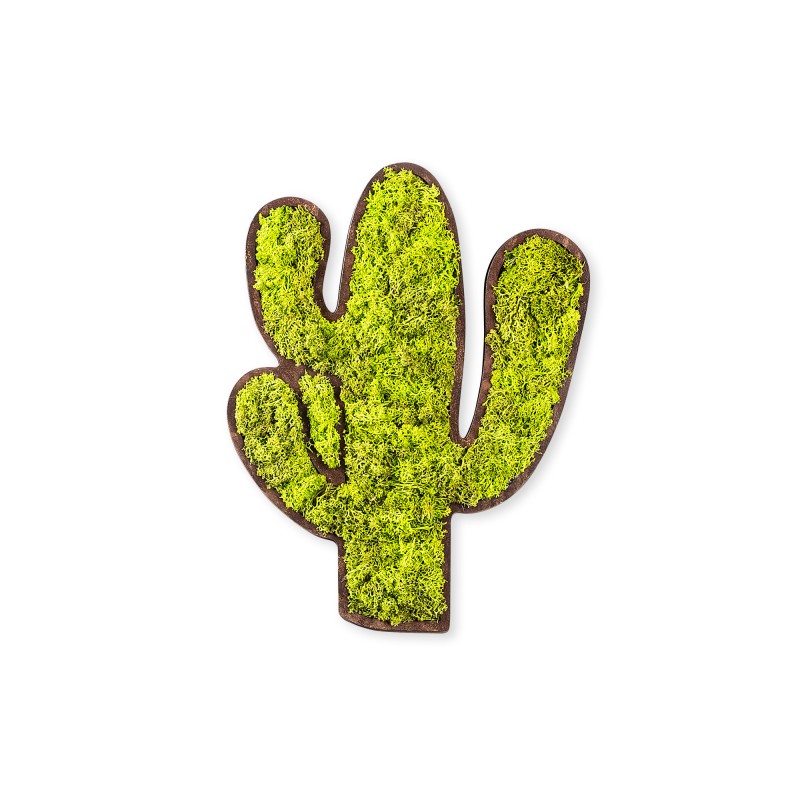 Decorative Wall Accessory Cactus Green
White