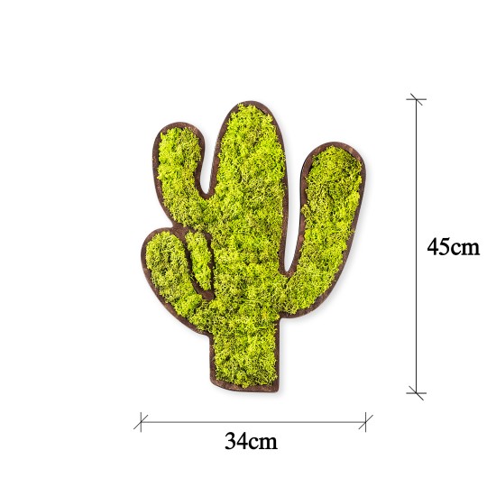 Decorative Wall Accessory Cactus Green
White Decorative Wall Accessory Cactus Green
White
