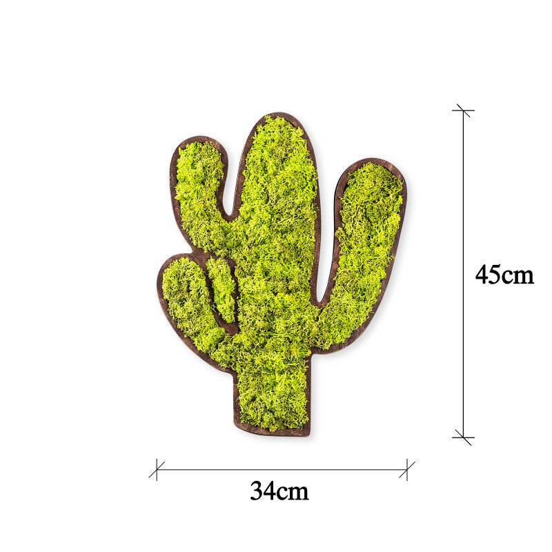Decorative Wall Accessory Cactus Green
White