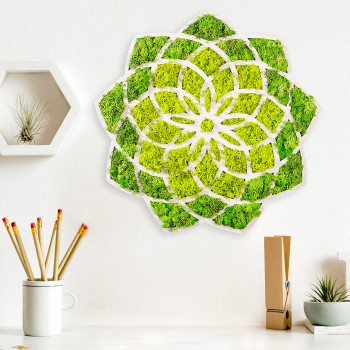 Decorative Wall Accessory Daisy Green
White