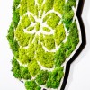 Decorative Wall Accessory Daisy Green
White