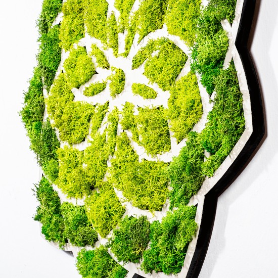 Decorative Wall Accessory Daisy Green
White Decorative Wall Accessory Daisy Green
White