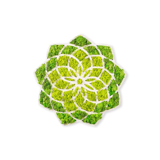 Decorative Wall Accessory Daisy Green
White Decorative Wall Accessory Daisy Green
White
