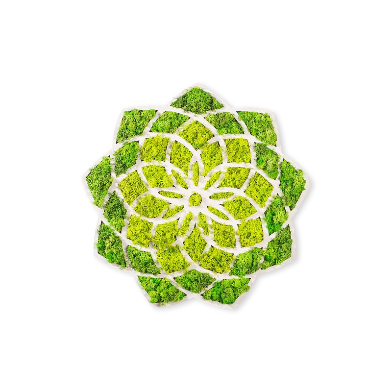 Decorative Wall Accessory Daisy Green
White
