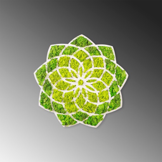 Decorative Wall Accessory Daisy Green
White Decorative Wall Accessory Daisy Green
White