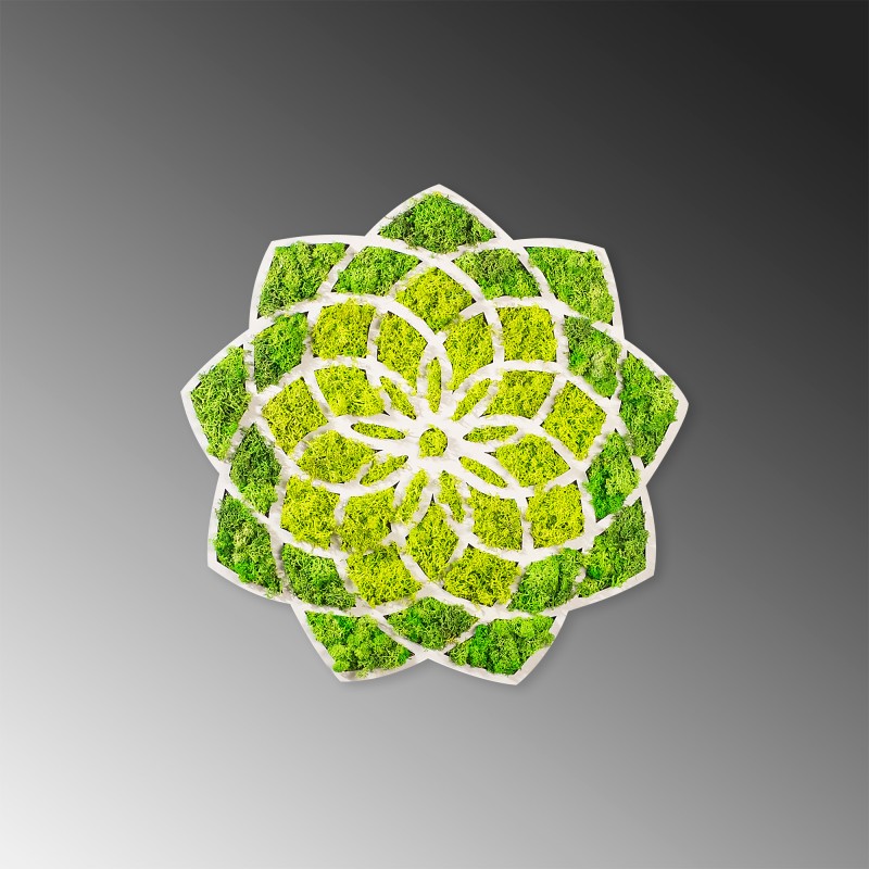 Decorative Wall Accessory Daisy Green
White
