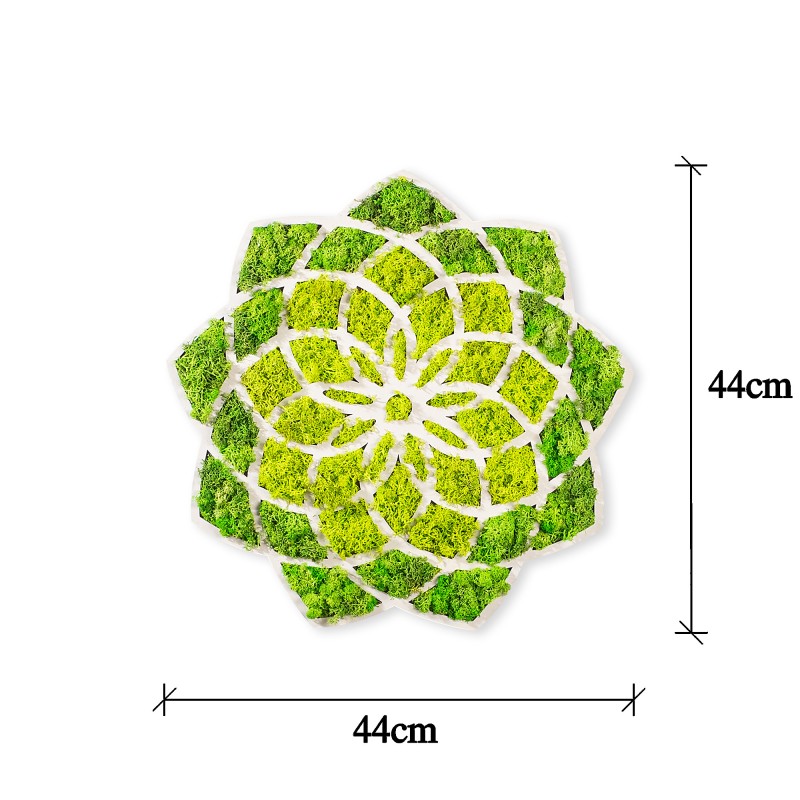 Decorative Wall Accessory Daisy Green
White