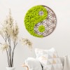 Wallxpert Decorative Wall Accessory Yin Yang Green
Brown