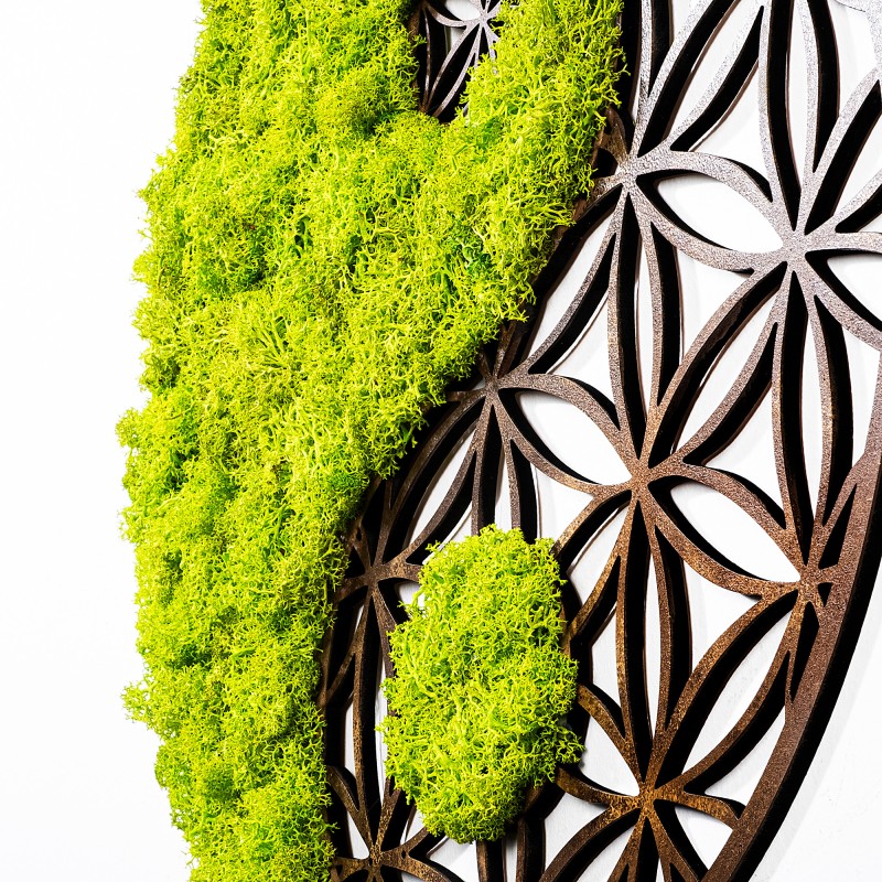 Wallxpert Decorative Wall Accessory Yin Yang Green
Brown