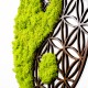 Decorative Wall Accessory Yin Yang Green
Brown Wallxpert Decorative Wall Accessory Yin Yang Green
Brown