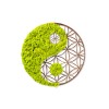 Wallxpert Decorative Wall Accessory Yin Yang Green
Brown
