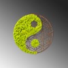 Wallxpert Decorative Wall Accessory Yin Yang Green
Brown