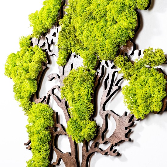 Decorative Wall Accessory Tree 2 Green
Brown Wallxpert Decorative Wall Accessory Tree 2 Green
Brown