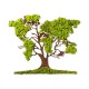 Decorative Wall Accessory Tree 2 Green
Brown Wallxpert Decorative Wall Accessory Tree 2 Green
Brown