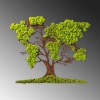 Wallxpert Decorative Wall Accessory Tree 2 Green
Brown