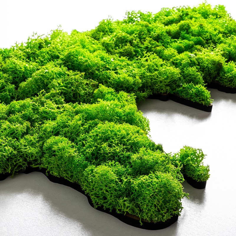 Decorative Metal Wall Accessory World Map Green