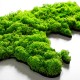 Decorative Metal Wall Accessory World Map Green Decorative Metal Wall Accessory World Map Green