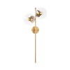 Wall Lamp Fazli - 10405 Shiny Gold