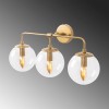 Wall Lamp Horn - 12206 Gold