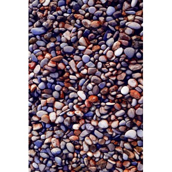 Carpet (60 x 100) Wookece188 Multicolor