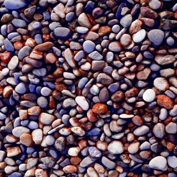 Carpet (60 x 100) Wookece188 Multicolor