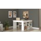 Hanah Home Study Desk Ct5-W White