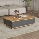 Coffee Table FR14-AA Atlantic Pine
Anthracite Hanah Home Coffee Table FR14-AA Atlantic Pine
Anthracite
