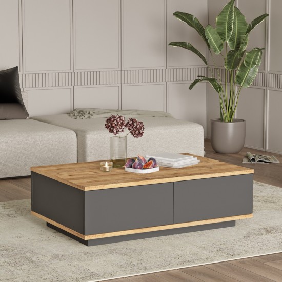 Coffee Table FR14-AA Atlantic Pine
Anthracite Hanah Home Coffee Table FR14-AA Atlantic Pine
Anthracite