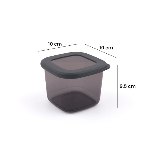 Hermia Storage Box Set (12 Pieces) BNMPOLYAS12-5KAS Anthracite