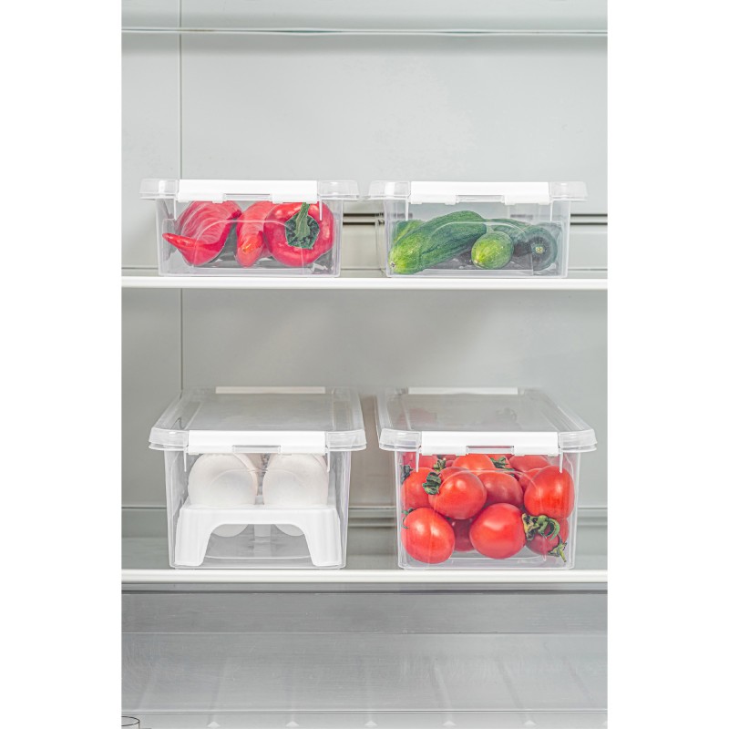 Hermia Storage Box Set (4 Pieces) 4Lukutu1 - Transparent Transparent