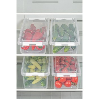 Storage Box Set (4 Pieces) 4Lukutu2 - Transparent Transparent