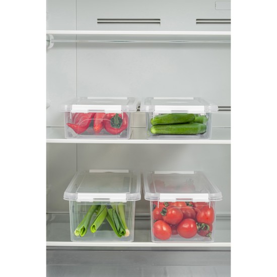 Hermia Storage Box Set (4 Pieces) 4Lukutu2 - Transparent Transparent