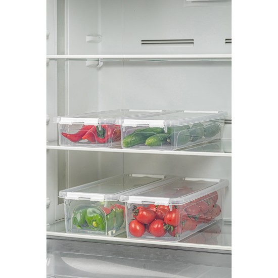 Hermia Storage Box Set (4 Pieces) 4Lukutu2 - Transparent Transparent