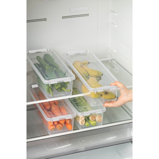 Hermia Storage Box Set (4 Pieces) 4Lukutu7 - Transparent Transparent