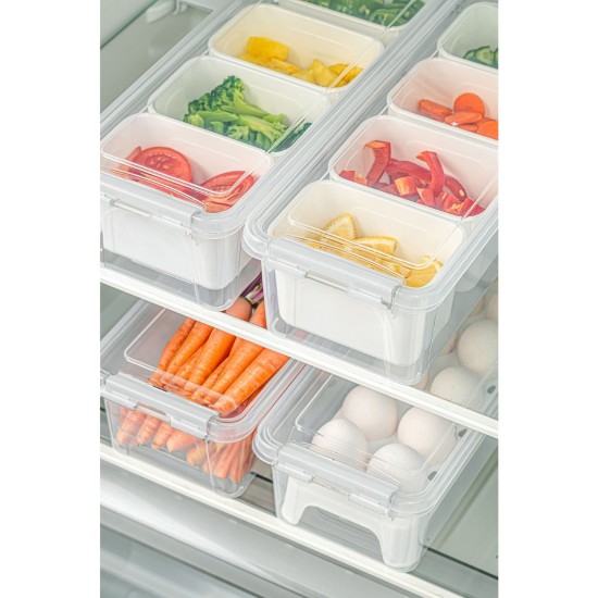 Storage Box Set (4 Pieces) 4Lukutu10 - Transparent Transparent