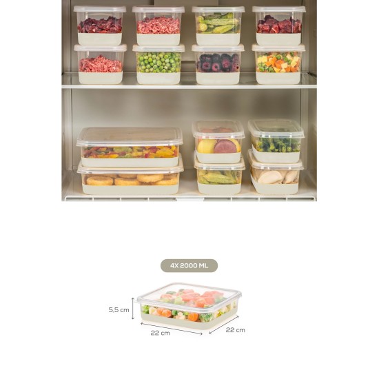 Fridge Organizer Set (4 Pieces) 4C - Grey Grey Fridge Organizer Set (4 Pieces) 4C - Grey Grey