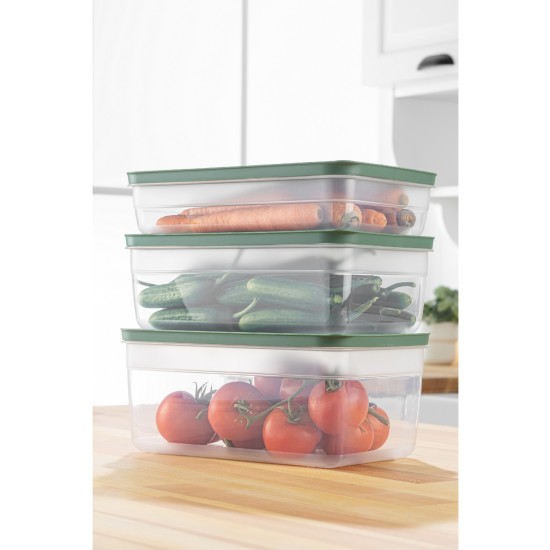 Storage Box Set (3 Pieces) HK3LU - Green Green Hermia Storage Box Set (3 Pieces) HK3LU - Green Green
