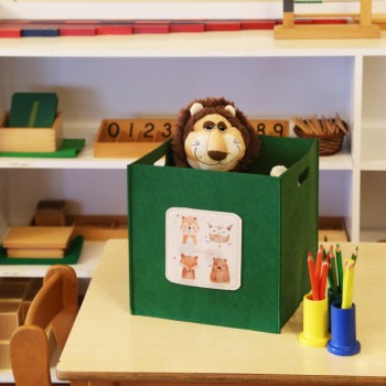 Felt Basket HMY - 6254 Green