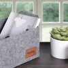 Aberto Design Felt Basket HMY - 6259 Grey