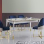 Extendable Dining Table Flora - 1113 White
Gold