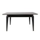 Extendable Dining Table Star - 981 Anthracite
Gold
Black