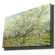 Wallxpert Decorative Canvas Painting 70100VANGOGH017 Multicolor