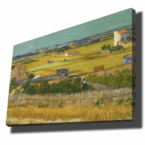 Wallxpert Decorative Canvas Painting 70100VANGOGH044 Multicolor