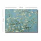 Wallxpert Decorative Canvas Painting 70100VANGOGH050 Multicolor